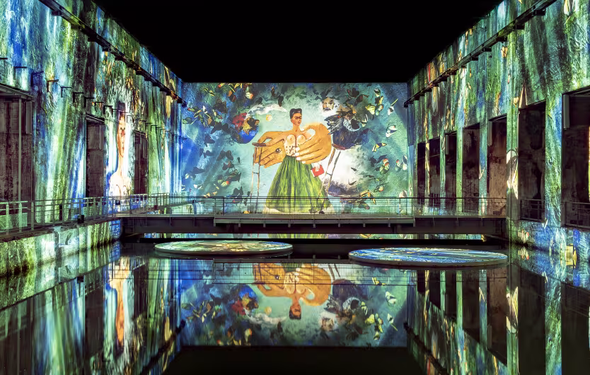 Frida Kahlo Bassins des lumières 