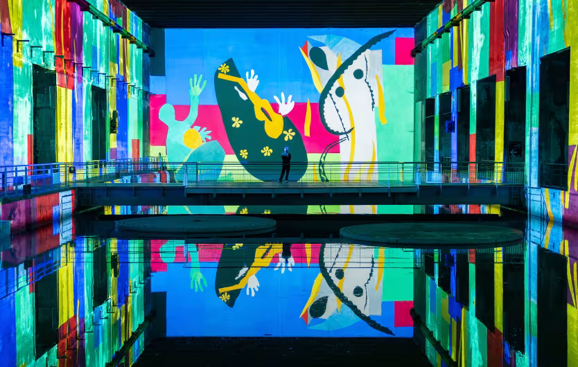 Matisse Bassins des lumières