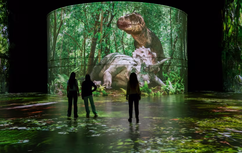 tyrannosaure forêt projection bassins
