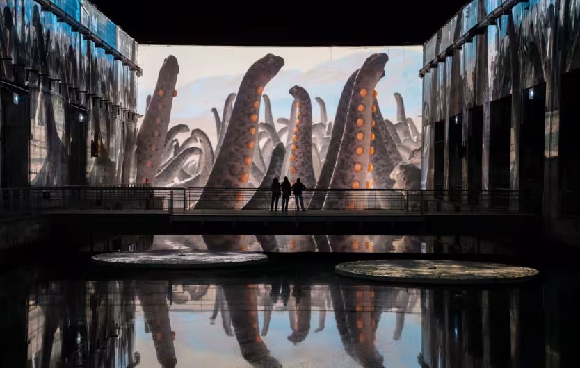 projection reflets dinosaures groupe