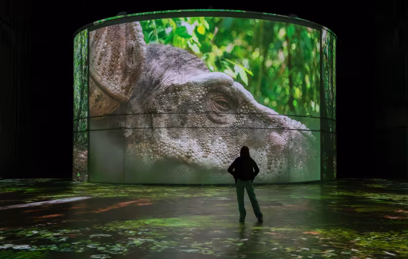 projection dinosaure dormant forêt