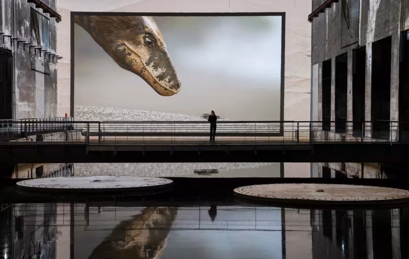 dinosaure photo reflets eau bassins