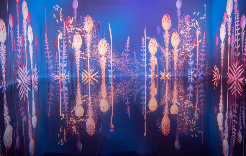 b19ceb11068c1802129a05a1902a52d99b5a3f22f6a2da430d19e9ec4f251469 plantes entropy