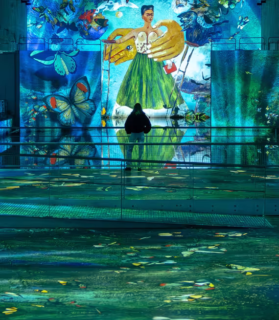 projection oeuvre frida kahlo silhouette
