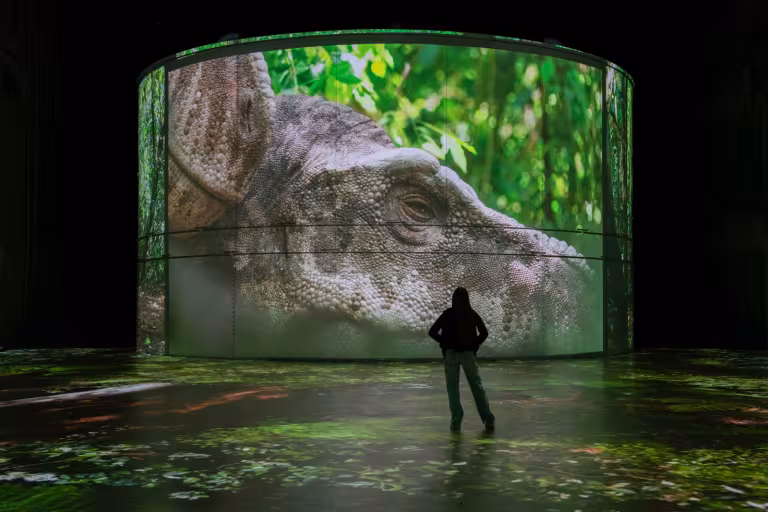 projection dinosaure dormant forêt