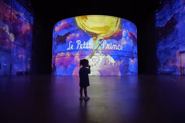 exposition petit prince bassins des lumieres