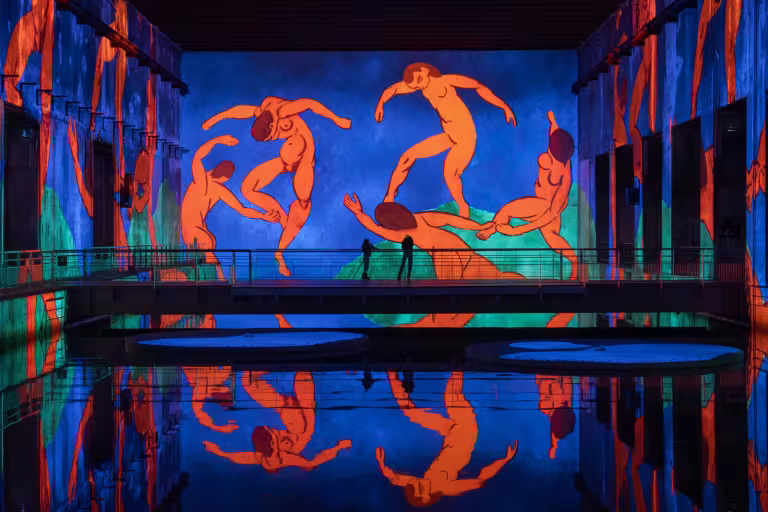 la danse projection bassins reflets