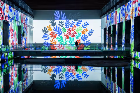 Matisse Bassins des lumières