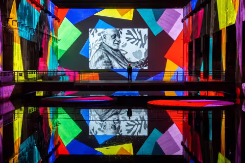 matisse decoupages bassins