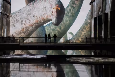dinosaures projection eaux bassins