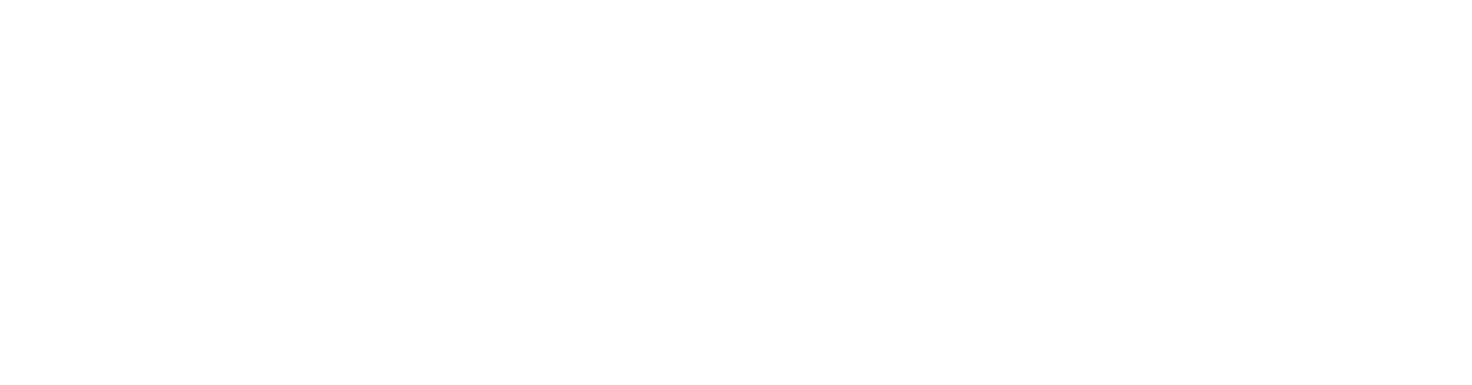 le petit prince bloc-titre