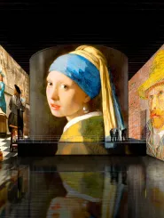 Jeune Fille à la perle Vermeer vue exposition Bassins