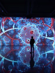 Vue exposition Foreign Nature Bassins