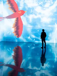 Vue exposition Kaze Bassins