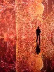 silhouette fond orange