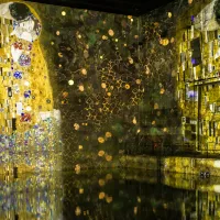 Vue exposition rétrospective Klimt Bassins