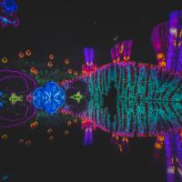 Vue exposition Cell Immersion Bassins