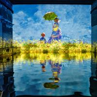 Vue exposition Monet Renoir Chagall Bassins