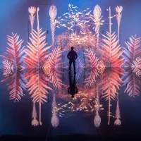 silhouette exposition immersive