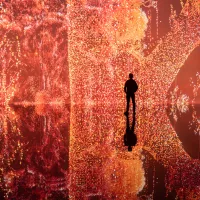 silhouette fond orange