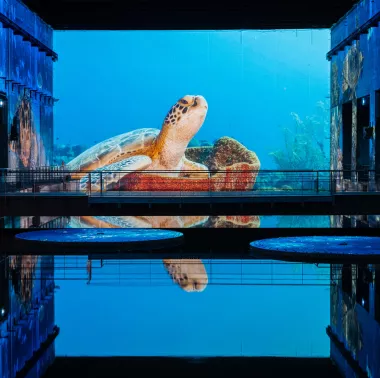 enfants fond orange lignes