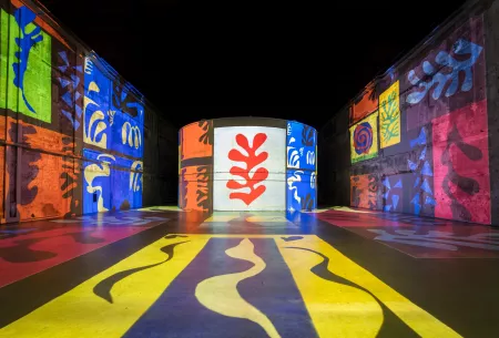 matisse couleurs projections