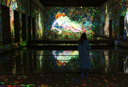 matisse couleurs silhouette 