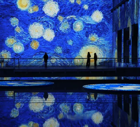Tableau Nuit étoilée Van Gogh vue exposition bassins