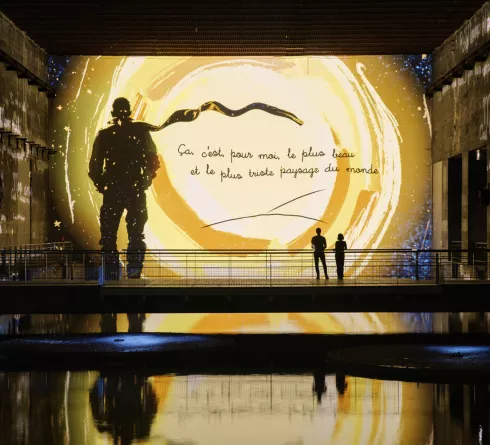 le petit prince bassins des lumières aviateur