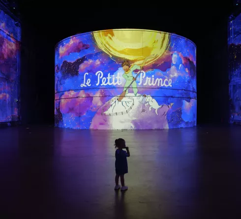 le petit prince planète mouton rose