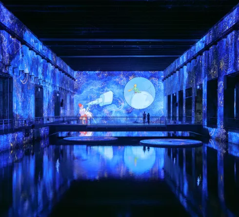 le petit prince bassins des lumières