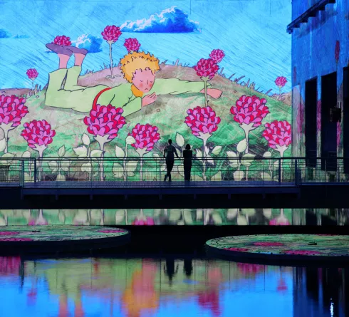 le petit prince roses
