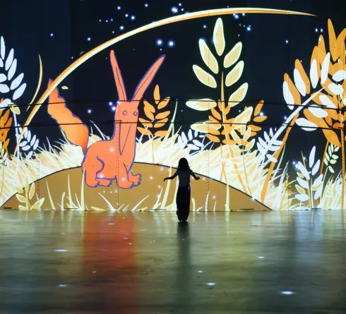 le petit prince renard