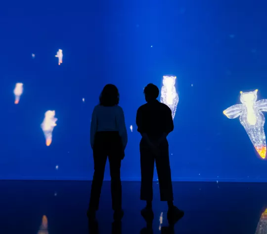 photo couple aquarium