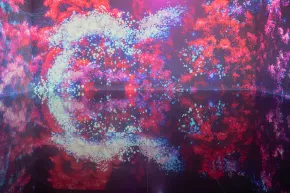 projection bulles roses violettes