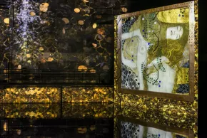 Vue exposition Klimt or Bassins