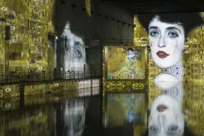Vue exposition Klimt portrait Bassins