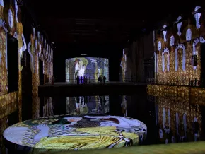 Vue exposition Klimt Bassins