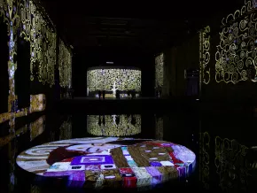 Vue exposition Klimt Bassins