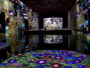 Vue exposition Klimt Bassins