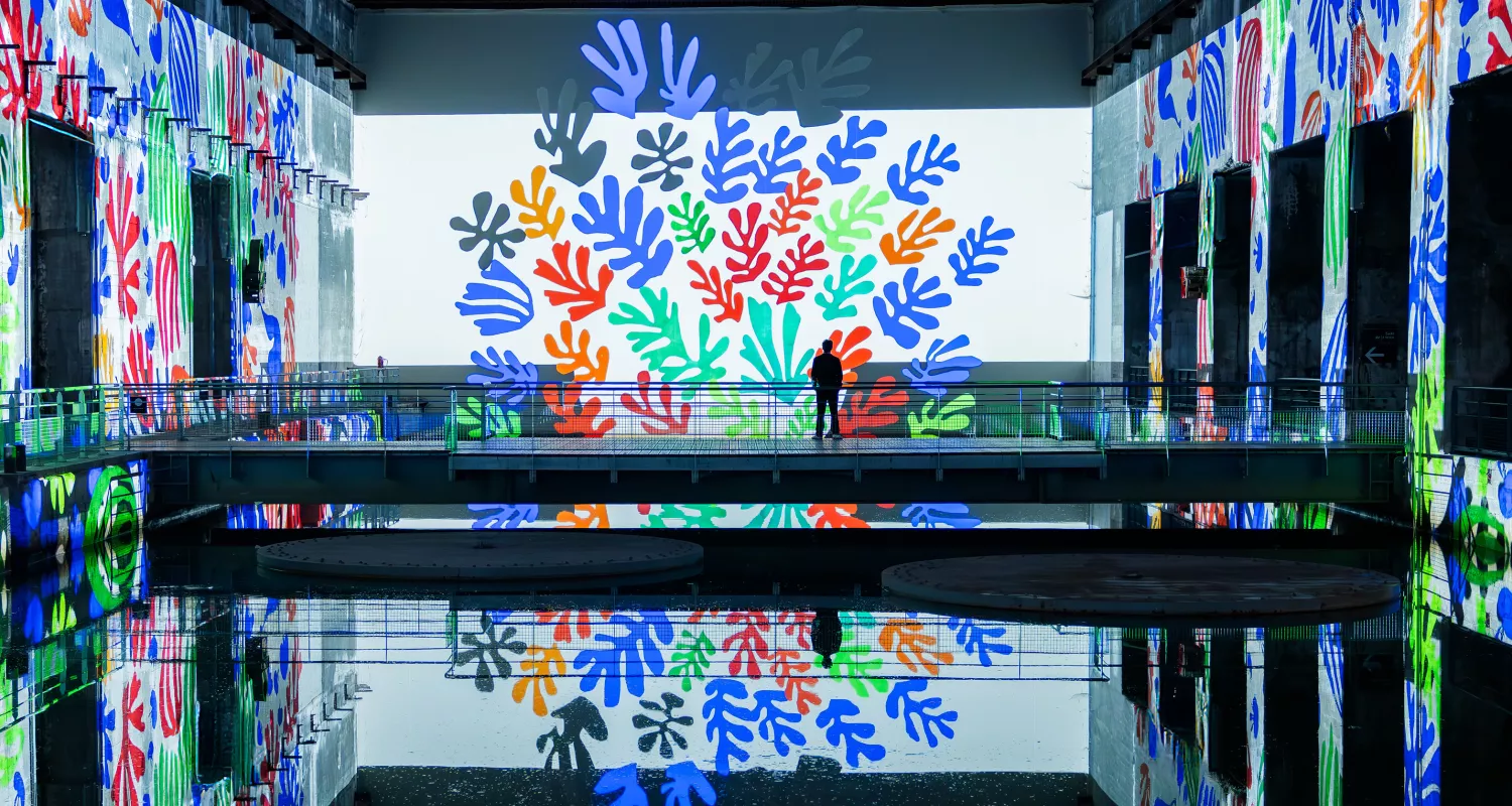 matisse projection oeuvre eau