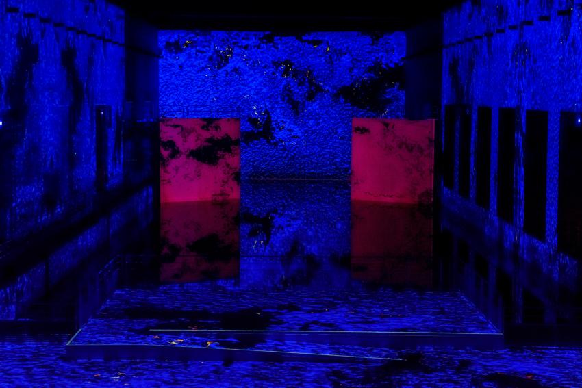 Vue exposition bleu Yves Klein Bassins des Lumières