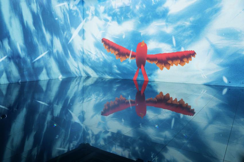 Espace exposition Kaze Bassins