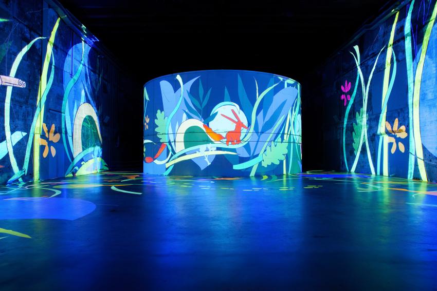 le petit prince renard bassins lumières