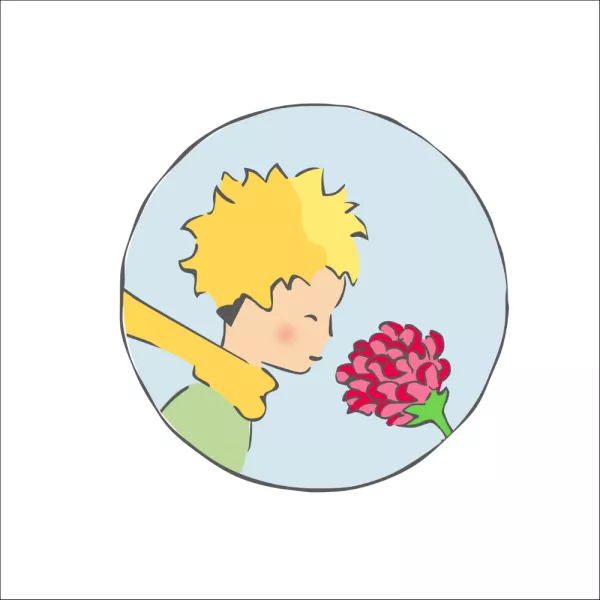 petit prince rose