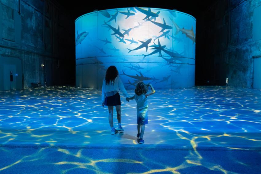 enfants requins ocean