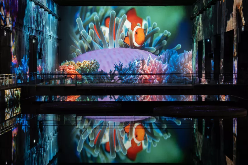 nemo ocean