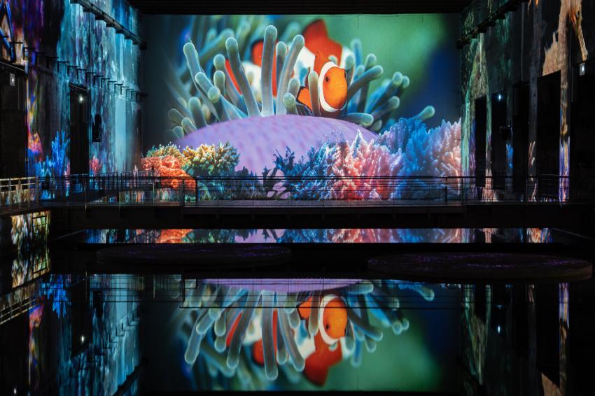 nemo ocean
