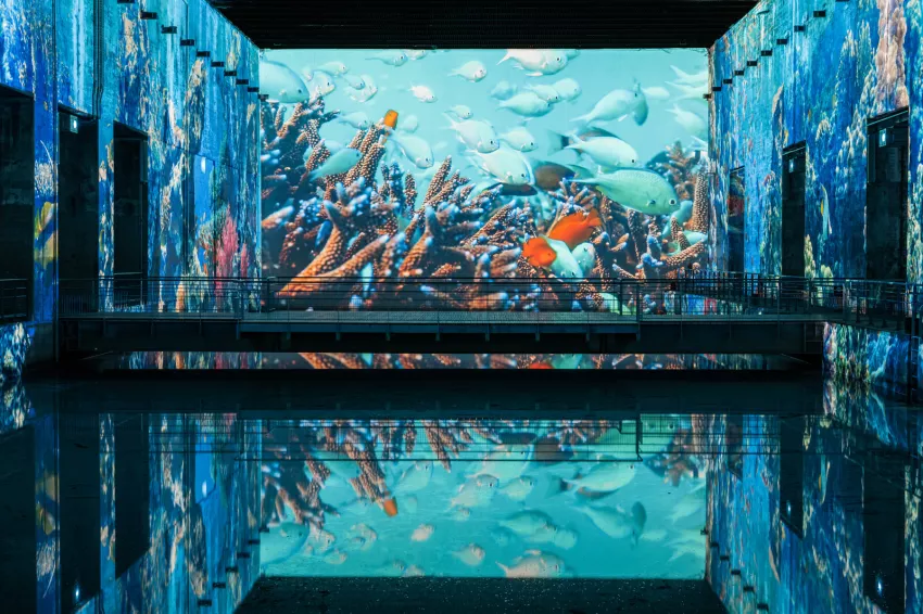 poissons océan