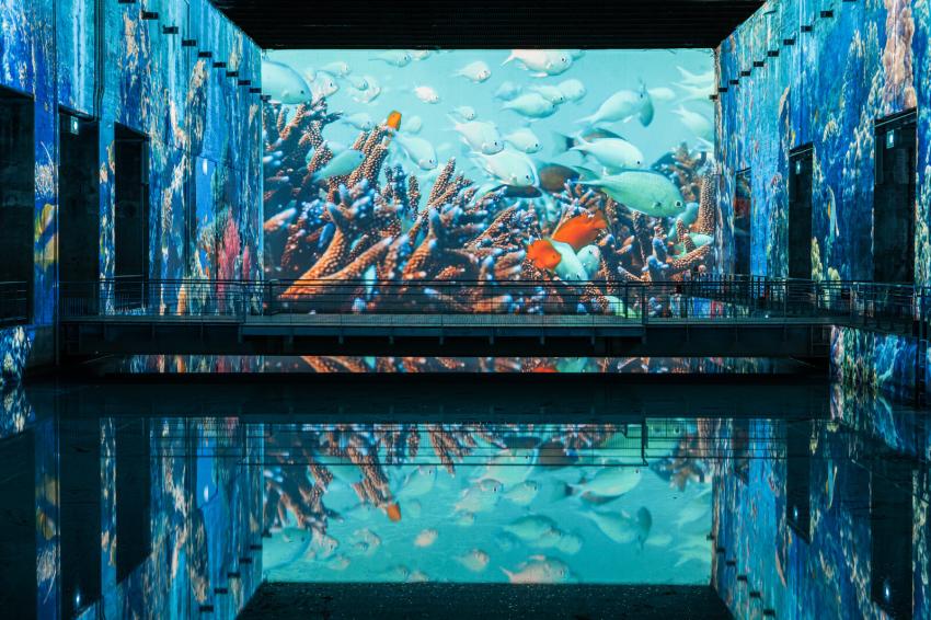 poissons océan